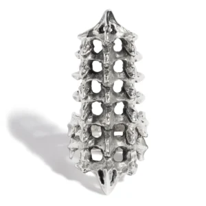 Vertebrae Ring